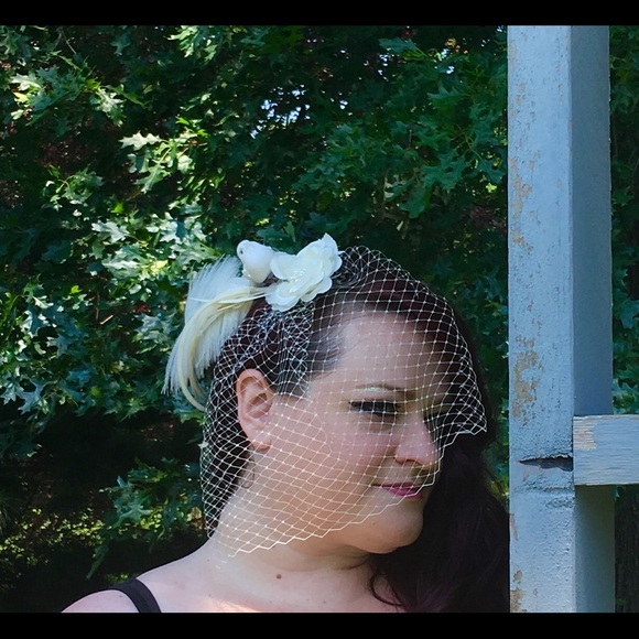 White & Ivory Birdcage Wedding Veil with Dove main image 4